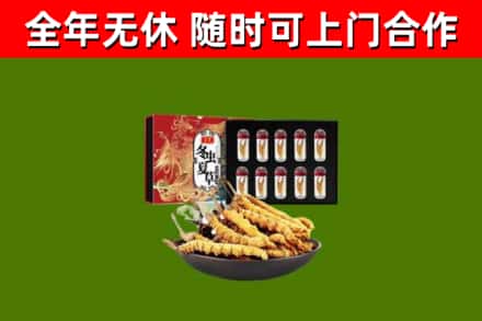 临川烟酒回收冬虫夏草礼盒.jpg